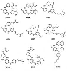 Figure FPA00001280125500361