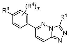 Figure imgf000019_0002