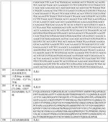 Figure BDA0001868160740001731