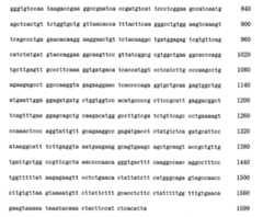 Figure 107123784-A0202-12-0219-50