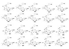 Figure 2024052946000153