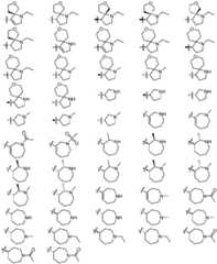 Figure GDA0003379855500001891