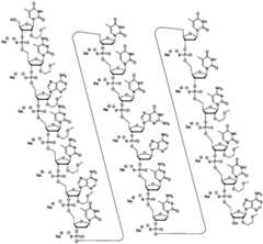 Figure FDA0003319162440000121