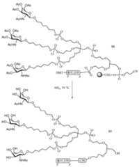 Figure 112016114379466-pct00201