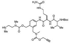 Figure imgf000417_0001
