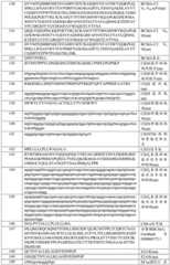 Figure BDA0003877999510001731