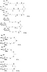 Figure 0007101748000005