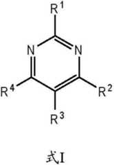 Figure DDA00003356338500011