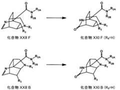 Figure JPOXMLDOC01-appb-C000035