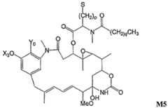 Figure imgf000013_0001