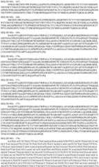 Figure BDA0003508968760001421