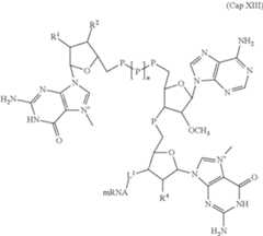 Figure US11737979-20230829-C00032