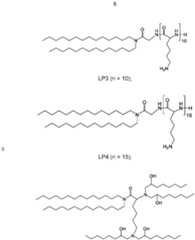 Figure imgf000007_0001