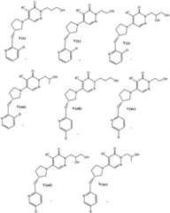 Figure FDA0004010263220000171