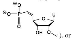 Figure imgf000054_0002