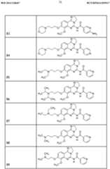 Figure imgf000032_0001