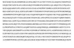 Figure imgf000098_0001