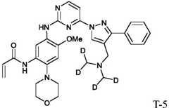 Figure GDA0002653239980000301