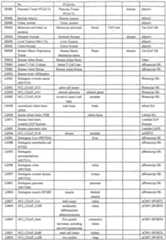 Figure imgf000049_0001