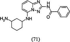 Figure GPA00001035513100942