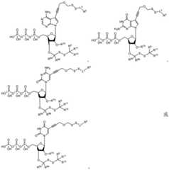 Figure BDA0003670511740001371