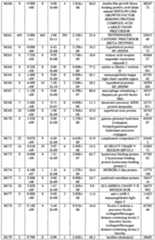 Figure imgf000100_0001