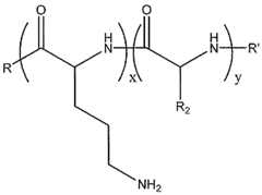 Figure imgf000021_0002