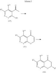 Figure US09642831-20170509-C00043