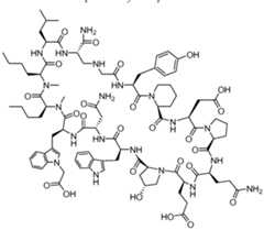 Figure imgf000161_0001