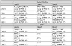 Figure imgf000031_0001