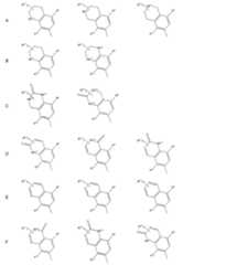 Figure 0007174143000020