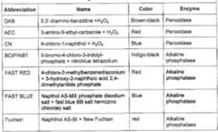 Figure imgf000028_0001