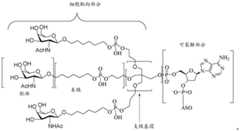 Figure BDA0003018192690001771