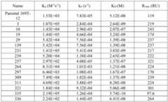 Figure PCTCN2022116860-appb-000027