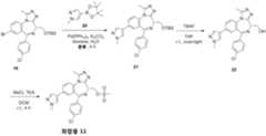 Figure 112016107528273-pct00049