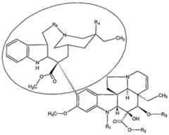Figure imgf000089_0001