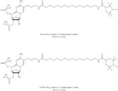 Figure US09206216-20151208-C00105