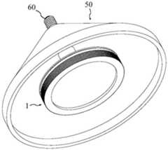 Figure 202020534291