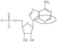 Figure US09220755-20151229-C00089