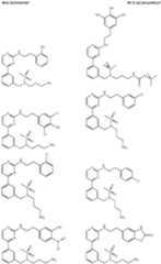 Figure imgf000092_0001