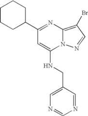 Figure US07119200-20061010-C01462