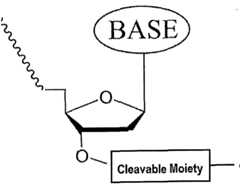 Figure imgf000346_0001