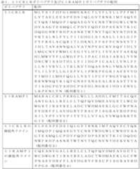 Figure 0007544766000001