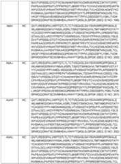 Figure imgf000132_0001