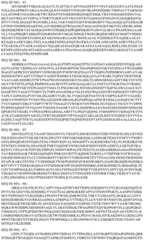 Figure BDA0003508968760001241