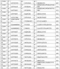 Figure BDA0002795140310001351