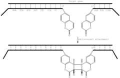 Figure US06306587-20011023-C00002