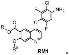 Figure FDA0003795483310000071