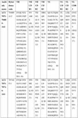 Figure imgf000093_0001