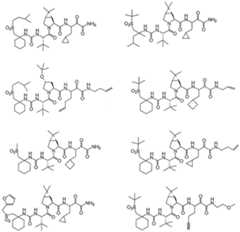 Figure imgf000308_0002